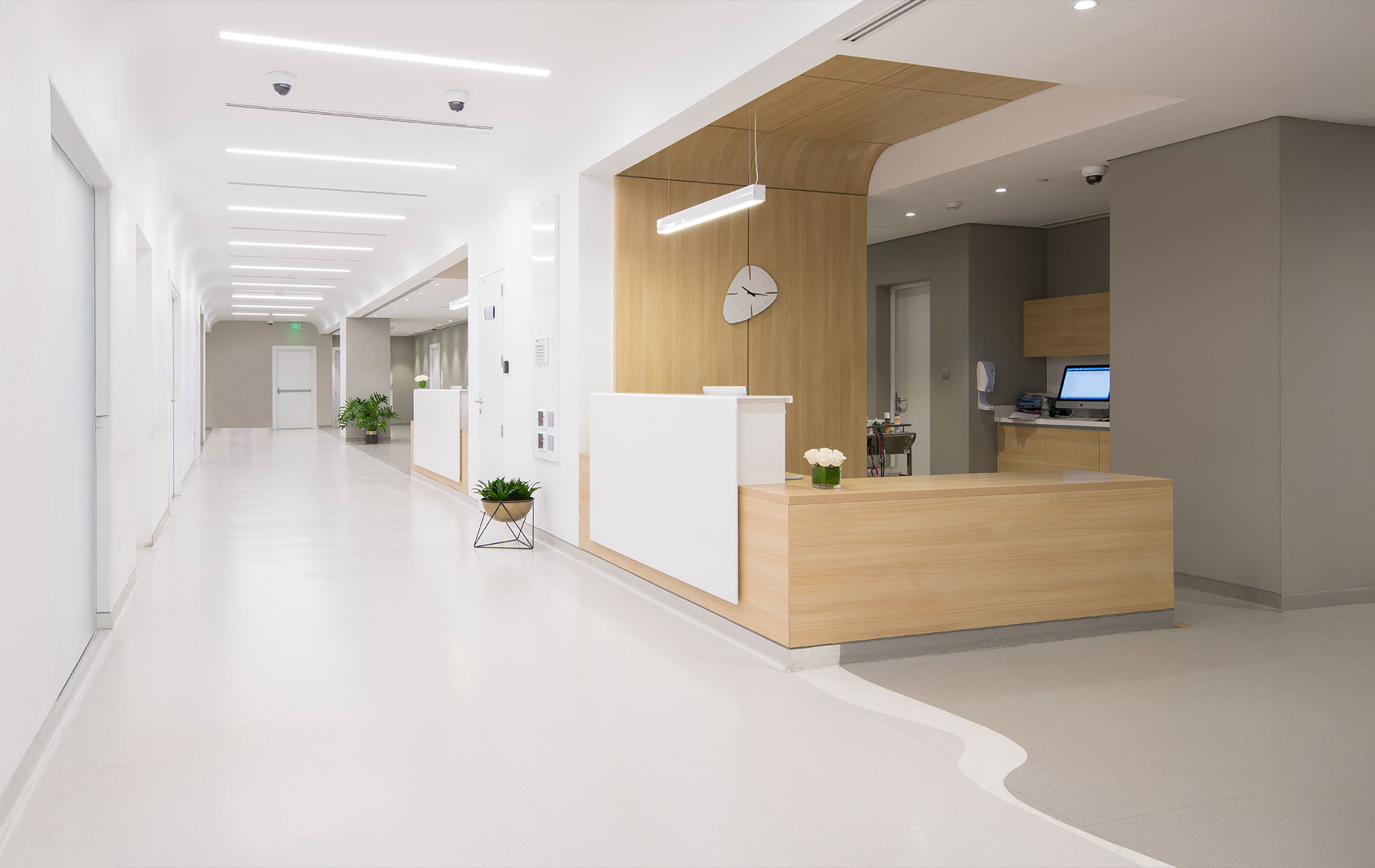 Art Specialized Construction - project 003