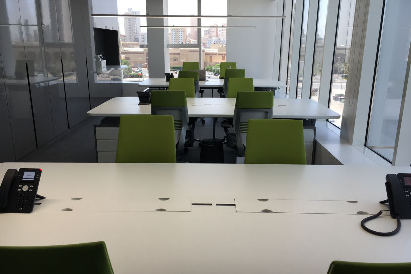 LINK:/projects/promedic